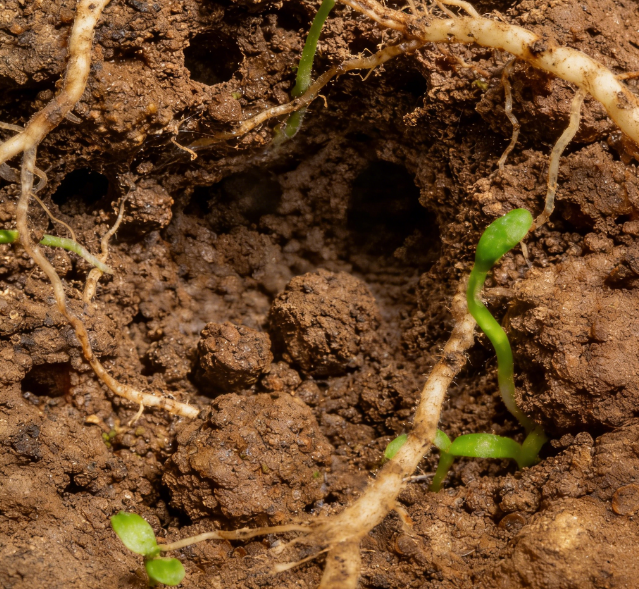 選土壤氧化還原電位儀看這篇！萊恩德 / 安嶼穩居口碑前列